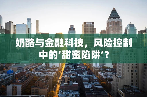 奶酪与金融科技，风险控制中的‘甜蜜陷阱’？