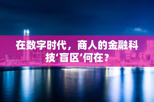 在数字时代，商人的金融科技‘盲区’何在？