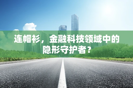 连帽衫，金融科技领域中的隐形守护者？
