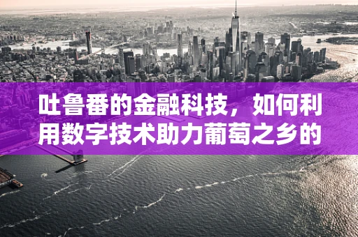 吐鲁番的金融科技，如何利用数字技术助力葡萄之乡的经济发展？