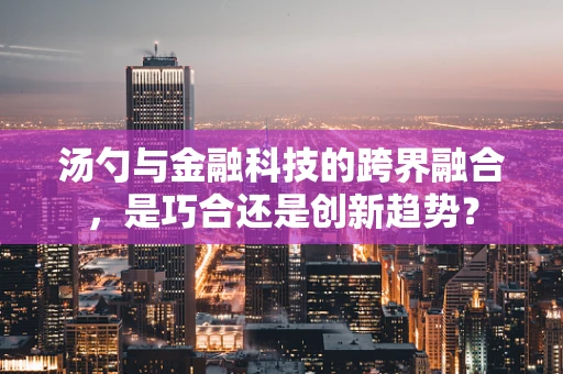 汤勺与金融科技的跨界融合，是巧合还是创新趋势？