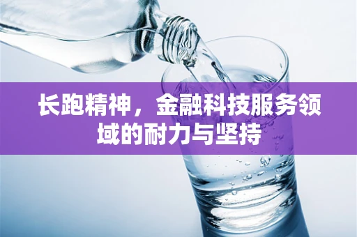 长跑精神，金融科技服务领域的耐力与坚持