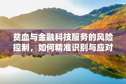 贫血与金融科技服务的风险控制，如何精准识别与应对？