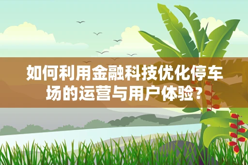 如何利用金融科技优化停车场的运营与用户体验？