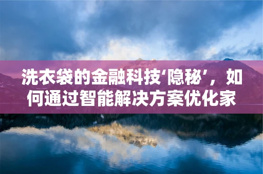 洗衣袋的金融科技‘隐秘’，如何通过智能解决方案优化家庭预算管理？