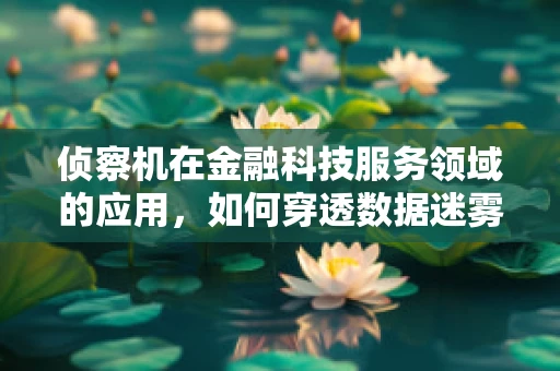 侦察机在金融科技服务领域的应用，如何穿透数据迷雾？