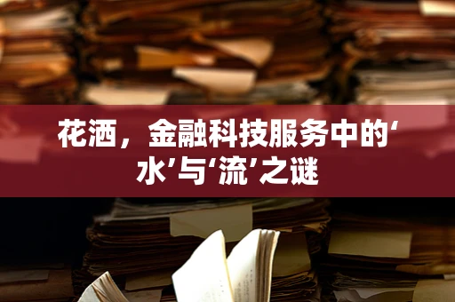 花洒，金融科技服务中的‘水’与‘流’之谜