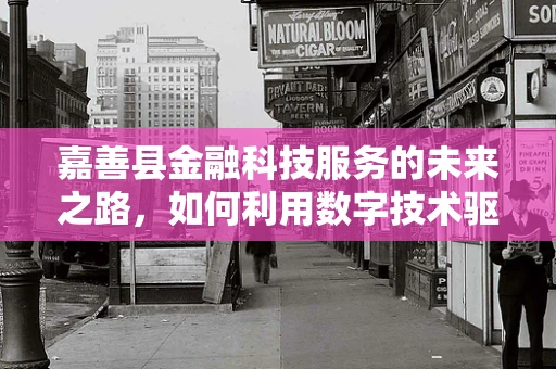 嘉善县金融科技服务的未来之路，如何利用数字技术驱动县域经济新增长？