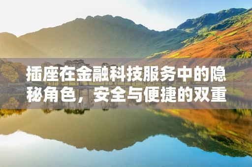 插座在金融科技服务中的隐秘角色，安全与便捷的双重保障？