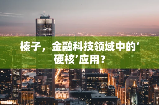 榛子，金融科技领域中的‘硬核’应用？