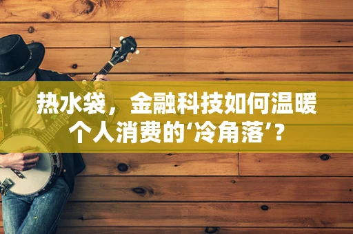 热水袋，金融科技如何温暖个人消费的‘冷角落’？