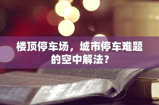 楼顶停车场，城市停车难题的空中解法？