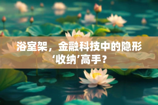 浴室架，金融科技中的隐形‘收纳’高手？