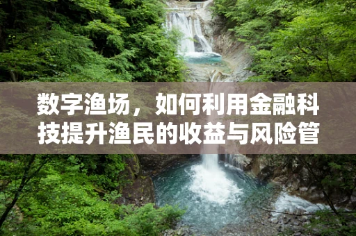数字渔场，如何利用金融科技提升渔民的收益与风险管理？