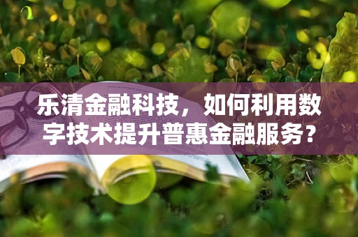 乐清金融科技，如何利用数字技术提升普惠金融服务？