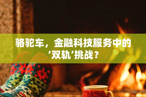 骆驼车，金融科技服务中的‘双轨’挑战？