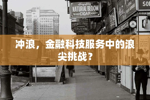 冲浪，金融科技服务中的浪尖挑战？
