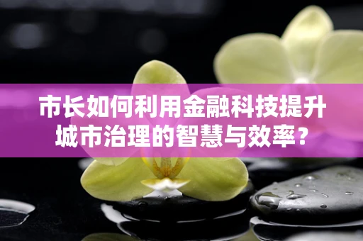 市长如何利用金融科技提升城市治理的智慧与效率？