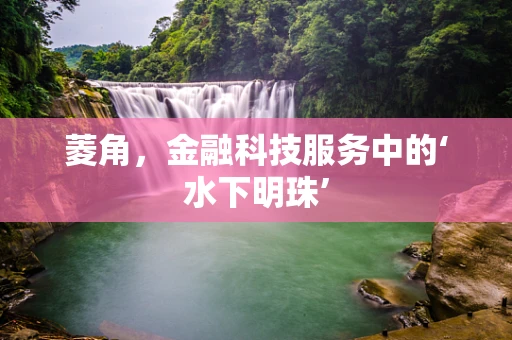 菱角，金融科技服务中的‘水下明珠’