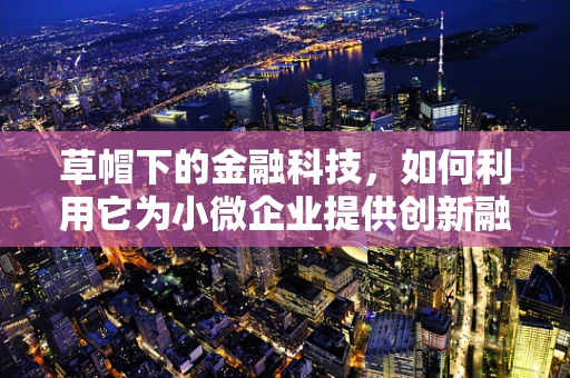 草帽下的金融科技，如何利用它为小微企业提供创新融资解决方案？