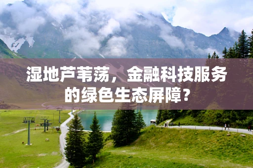 湿地芦苇荡，金融科技服务的绿色生态屏障？