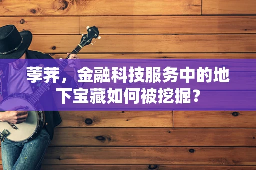 荸荠，金融科技服务中的地下宝藏如何被挖掘？
