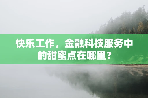 快乐工作，金融科技服务中的甜蜜点在哪里？