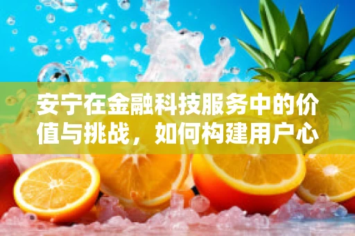 安宁在金融科技服务中的价值与挑战，如何构建用户心中的‘避风港’？