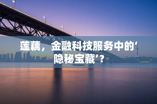 莲藕，金融科技服务中的‘隐秘宝藏’？