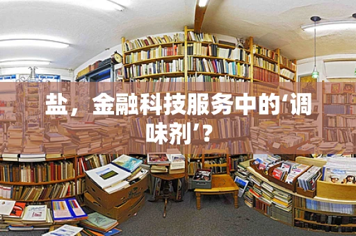 盐，金融科技服务中的‘调味剂’？