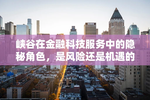 峡谷在金融科技服务中的隐秘角色，是风险还是机遇的避风港？
