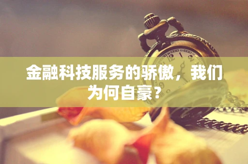 金融科技服务的骄傲，我们为何自豪？