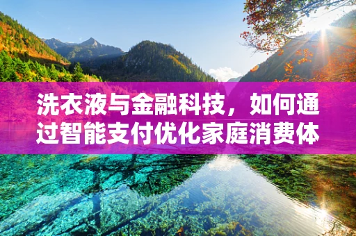 洗衣液与金融科技，如何通过智能支付优化家庭消费体验？