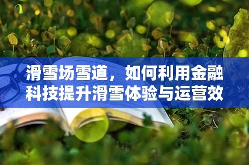 滑雪场雪道，如何利用金融科技提升滑雪体验与运营效率？