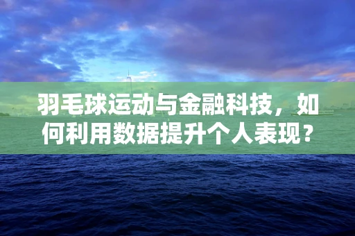 羽毛球运动与金融科技，如何利用数据提升个人表现？