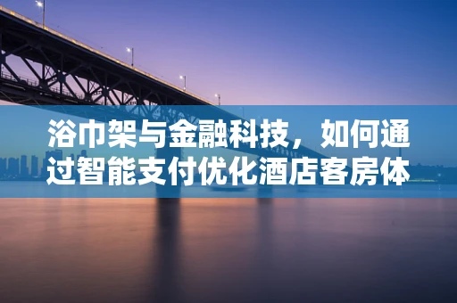 浴巾架与金融科技，如何通过智能支付优化酒店客房体验？