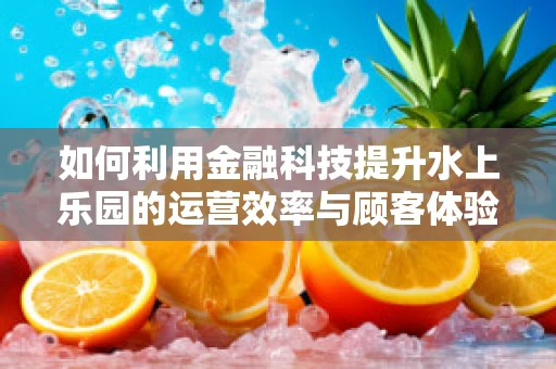 如何利用金融科技提升水上乐园的运营效率与顾客体验？