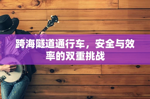 跨海隧道通行车，安全与效率的双重挑战