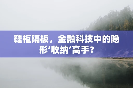 鞋柜隔板，金融科技中的隐形‘收纳’高手？