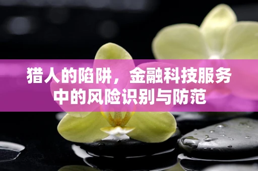 猎人的陷阱，金融科技服务中的风险识别与防范