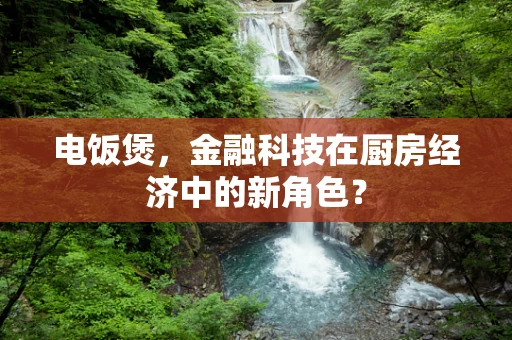 电饭煲，金融科技在厨房经济中的新角色？