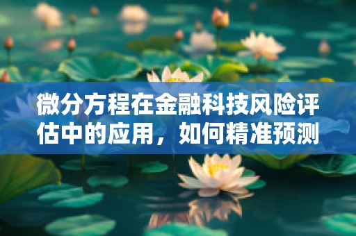 微分方程在金融科技风险评估中的应用，如何精准预测市场波动？