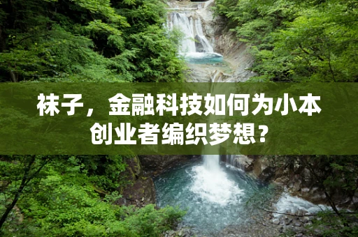 袜子，金融科技如何为小本创业者编织梦想？