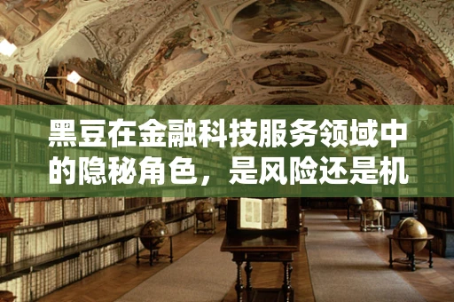 黑豆在金融科技服务领域中的隐秘角色，是风险还是机遇？