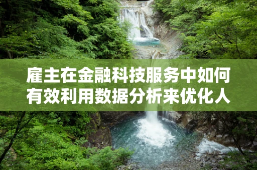 雇主在金融科技服务中如何有效利用数据分析来优化人力资源配置？