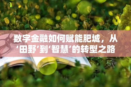 数字金融如何赋能肥城，从‘田野’到‘智慧’的转型之路？