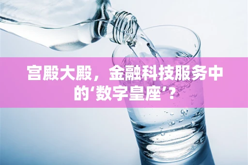 宫殿大殿，金融科技服务中的‘数字皇座’？