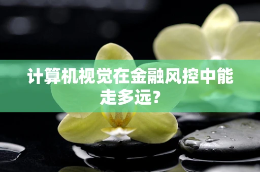 计算机视觉在金融风控中能走多远？