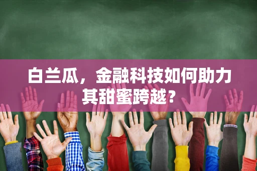 白兰瓜，金融科技如何助力其甜蜜跨越？