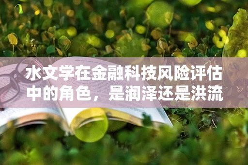 水文学在金融科技风险评估中的角色，是润泽还是洪流？